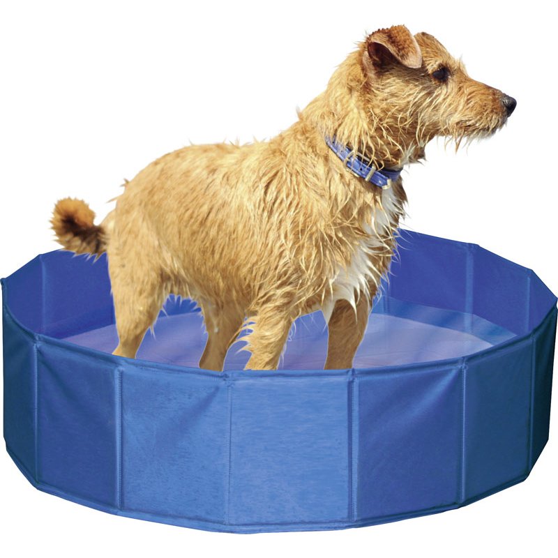 Hundepool - 160x30cm blau