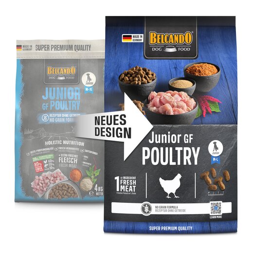 Belcando Junior GF Poultry - 4 kg