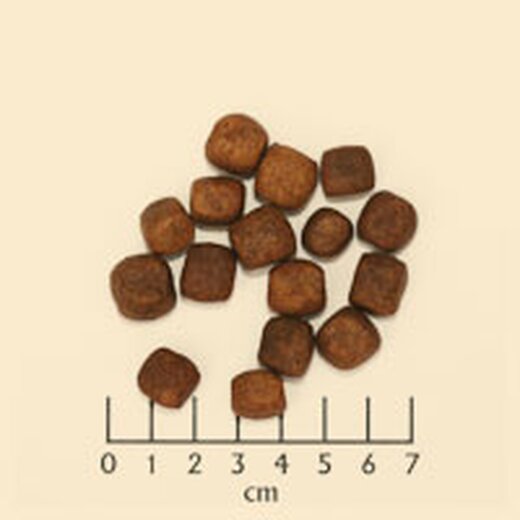 Wolfsblut Cold River Adult 12,5 kg