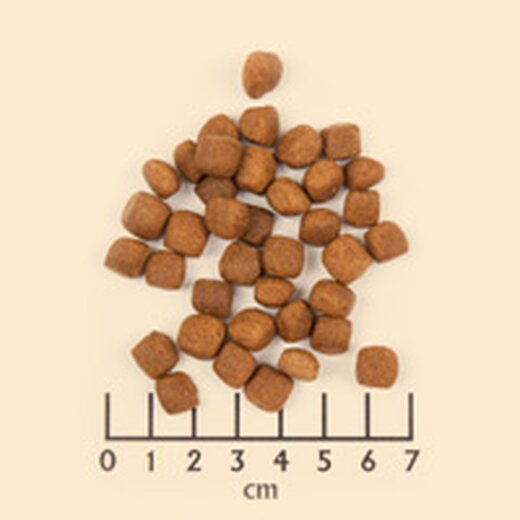 Wolfsblut Wild Duck Adult Small (ehem. Small Breed) 7,5 kg