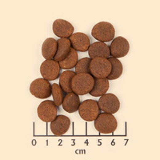 Wolfsblut Black Marsh Adult 12,5 kg