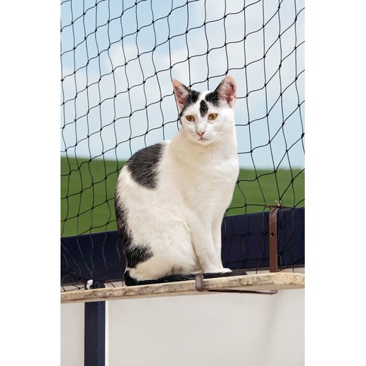 Katzen-Schutznetz schwarz - 2x3m