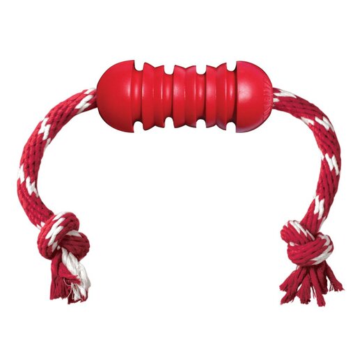 Dental Kong mit Zahnseide-Seil