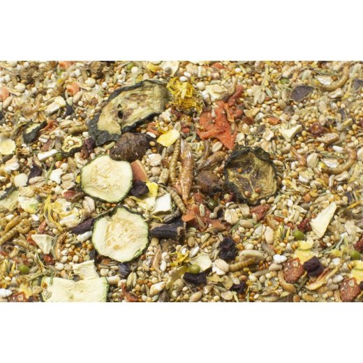 JR Farm Food Maus Adult - 500 g