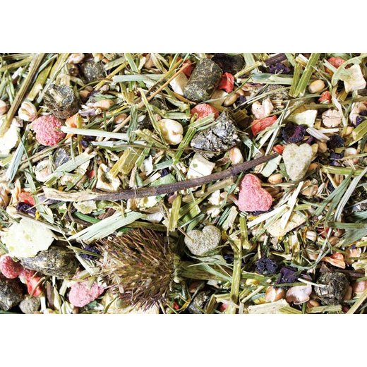 JR Farm Degu-Schmaus - 1,6 kg