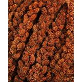 JR Birds Kolbenhirse rot, 250 g