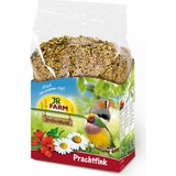 JR Birds Individual Prachtfink - 1 kg