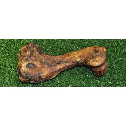 Schweineknochen