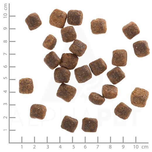 Wolfsblut Wide Plain Senior 12,5 kg