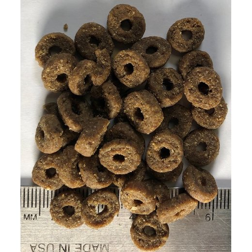 Regal Kitten Recipe 1,8 kg