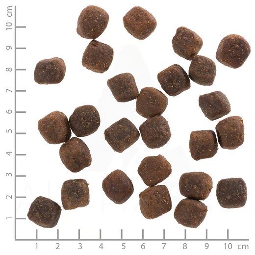 Wolfsblut Adult Deep Glade 12,5 kg