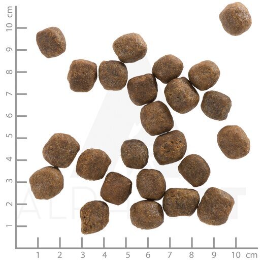 Wolfsblut Cold River Sparpaket 2 x 12,5 kg