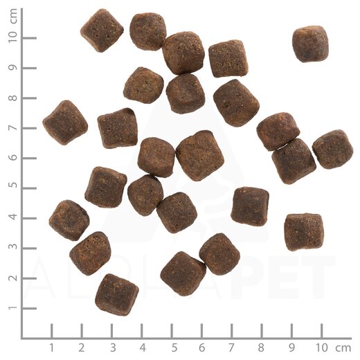 Wolfsblut Dark Forest - Sparpaket 2 x 12,5 kg