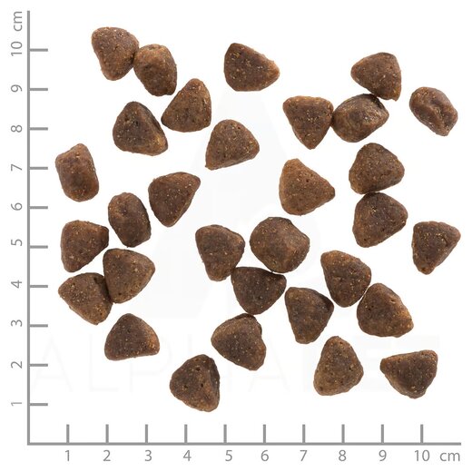 Wolfsblut Hunters Pride - Sparpaket 2 x 12,5 kg