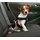 Auto Hundegurt