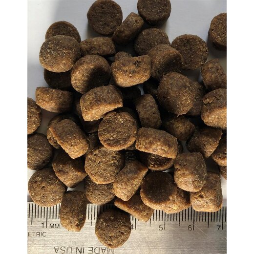 Regal Large Breed Puppy Recipe 11,8 kg (MHD 4/23)