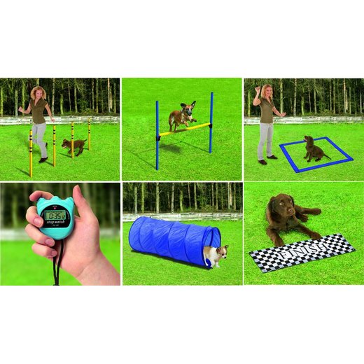 Fun Agility Starter Set