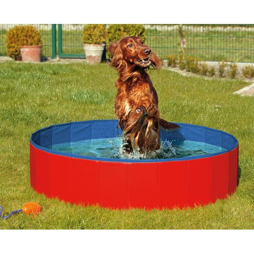 Doggy Pool