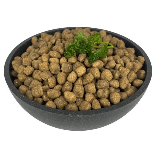 Dera Croc Premium Vital Insekt getreidefrei  4 kg