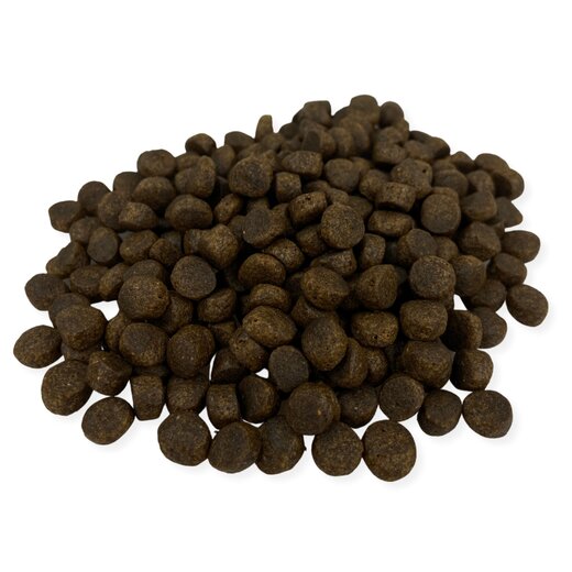 Wolfs Nature Fjord-Lachs Junior - 20 kg