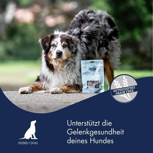 Dr.Clauders Functional Coins Yoga Flex 80 g (MHD 14.06.2026)