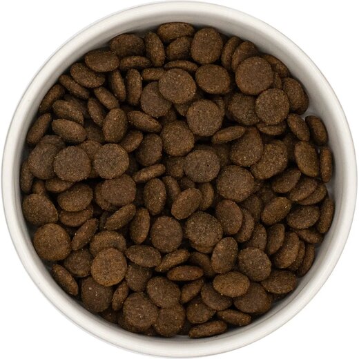 Dera Croc Premium Schwein mit S��kartoffel & Apfel getreidefrei