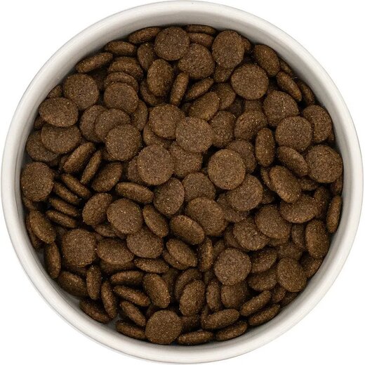 Dera Croc Premium Angus-Rind mit S��kartoffel & Karotte getreidefrei  - 2 kg