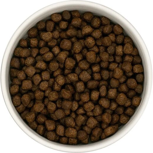 Dera Croc Premium Huhn mit Truthahn, Lachs, S��kartoffel & Karotte (Welpe) getreidefrei