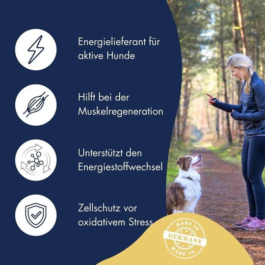 Dr.Clauders Functional Coins Power Sprint 80 g (MHD 10.05.26)