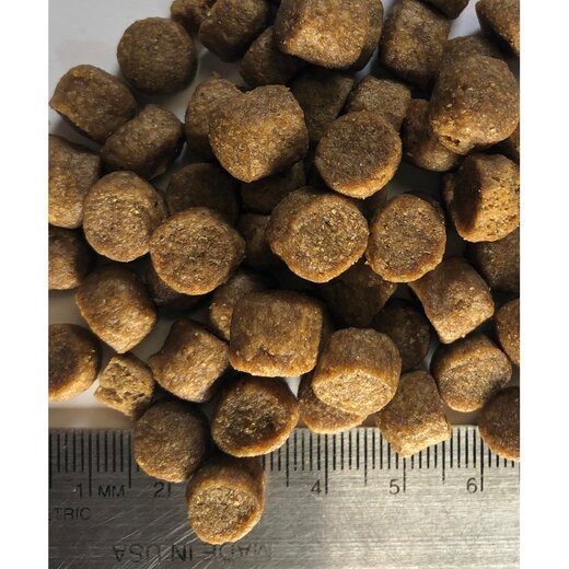 Regal Ocean Recipe 18,2 kg (Verpackung besch�digt)