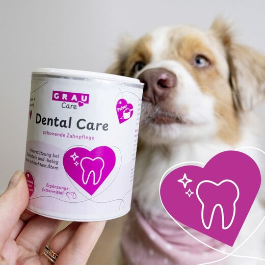 Grau Dental Care