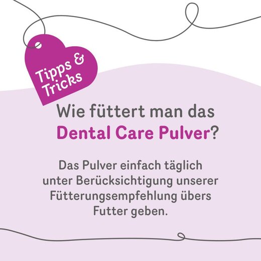 Grau Dental Care