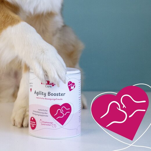 Grau Agility Booster - 350 g