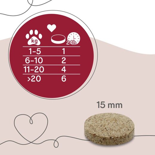 Grau Joint Care - 65 Stk.