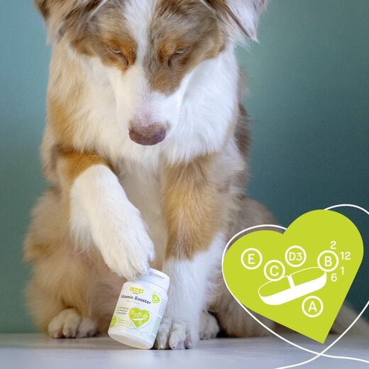 Grau Vitamin Booster - 120 Stk.