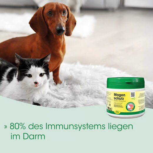 cdVet Magenschutz