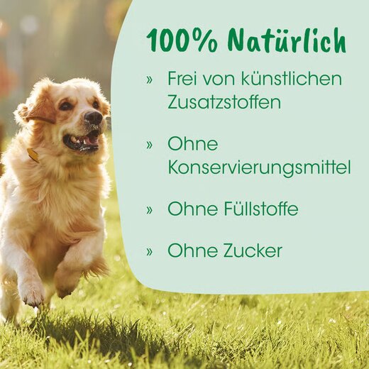 cdVet Magenschutz 100 g