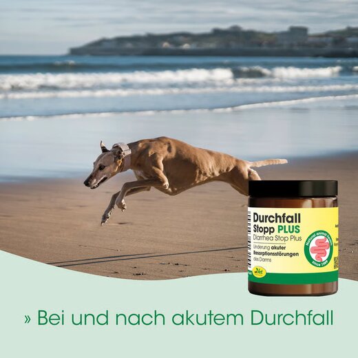 cdVet DurchfallStopp Plus