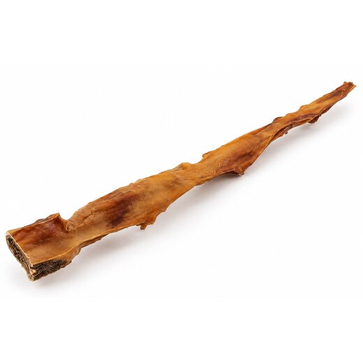 Rinderkopfhaut XXL 70cm